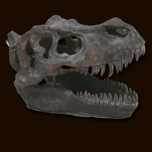 Large T-Rex Skull Wall Head