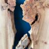 90 x 60 Burr Elm DRV4 Thumbnail