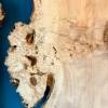 240 x100 Burr Chestnut DRV14 Thumbnail