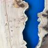 200 x100 Burr Oak DRV17 Thumbnail