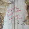 200 x100 Burr Oak DRV17 Thumbnail