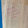 152 x 100 Burr Elm DRV19 Thumbnail
