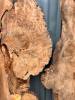 160 X 90 Burr Elm DRV29 Thumbnail
