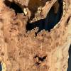 200 x 100 Full Burr Elm (DRV30) Thumbnail