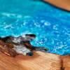 Burred Elm Resin River Coffee Table Ocean Effect Thumbnail