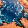 Stingray Ocean Dining Table Burr Elm Thumbnail