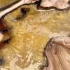 Elm & Molten Gold River Dining Table Thumbnail
