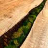 'Secret Forest' Elm Dining Table Thumbnail