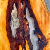 Yew Silver Resin River Dining Table Thumbnail